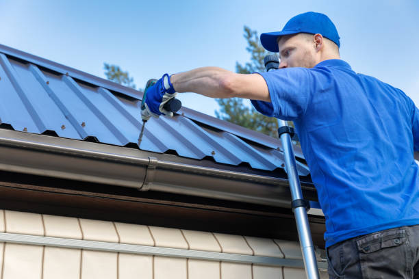 Best Metal Roofing Installation  in Ely, NV