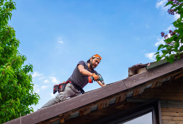 Best Rubber Roofing (EPDM, TPO)  in Ely, NV