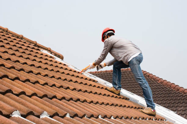 Best Cold Roofs  in Ely, NV