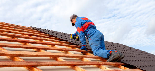 Best Skylight Installation and Repair  in Ely, NV