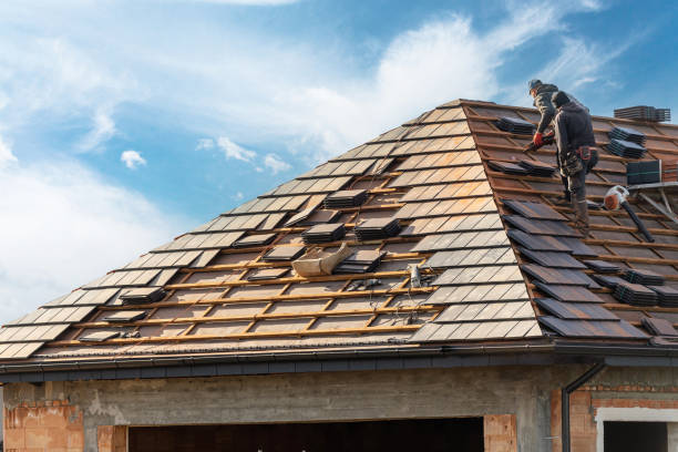Best Gutter Installation and Repair  in Ely, NV