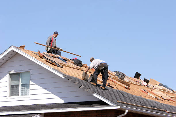 Best Emergency Roof Repair Services  in Ely, NV