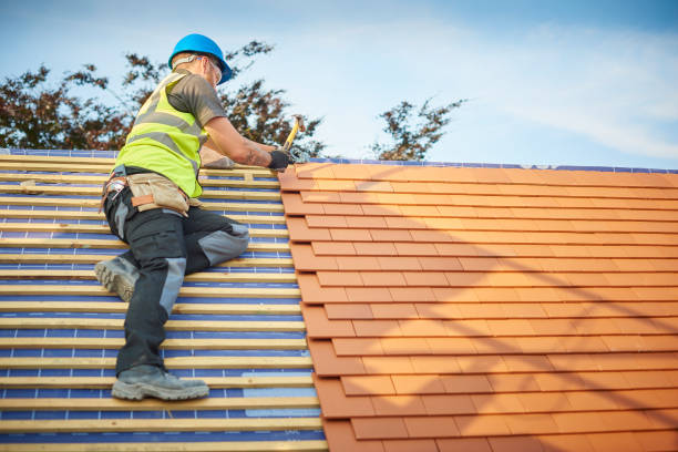 Best Flat Roofing  in Ely, NV